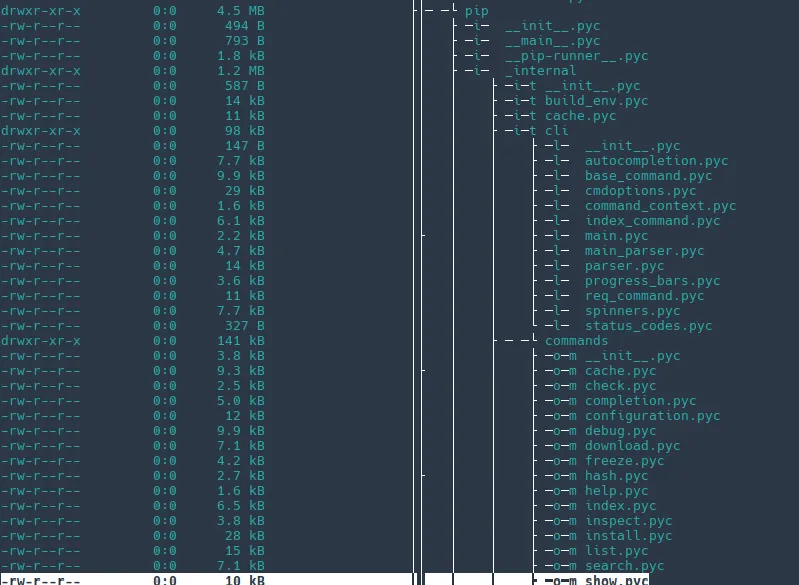 image-20250319214332783